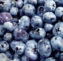 Blueberry Seed Oil