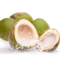 coconut endosperm