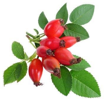 rosehip oil refined