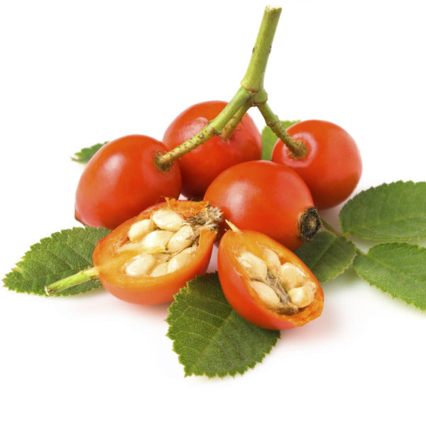 rosehip seed oil unrefined