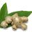 ginger root extract